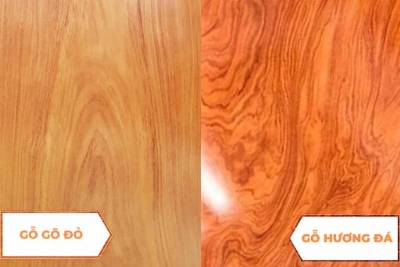 So sánh gỗ gõ đỏ và gỗ hương đá, loại nào tốt hơn?